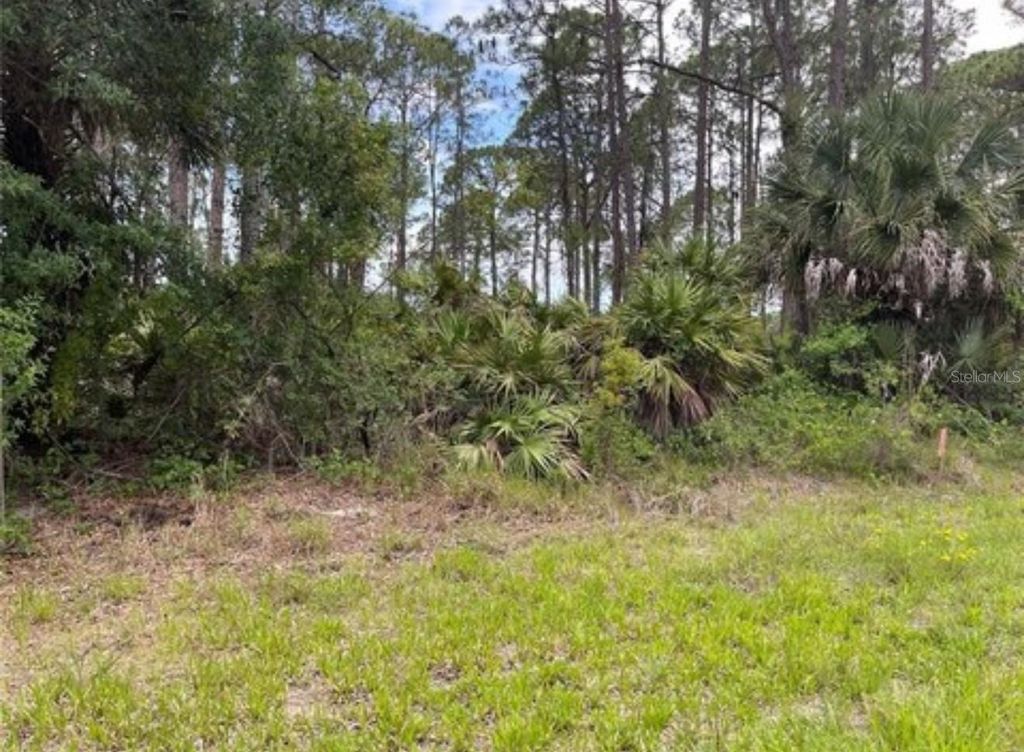 Photo of 3015 Eisenhower Street W, Inverness, FL 34453 (MLS # TB8417454)