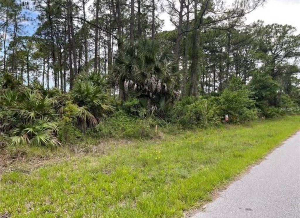 Photo of 3015 Eisenhower Street W, Inverness, FL 34453 (MLS # TB8417454)