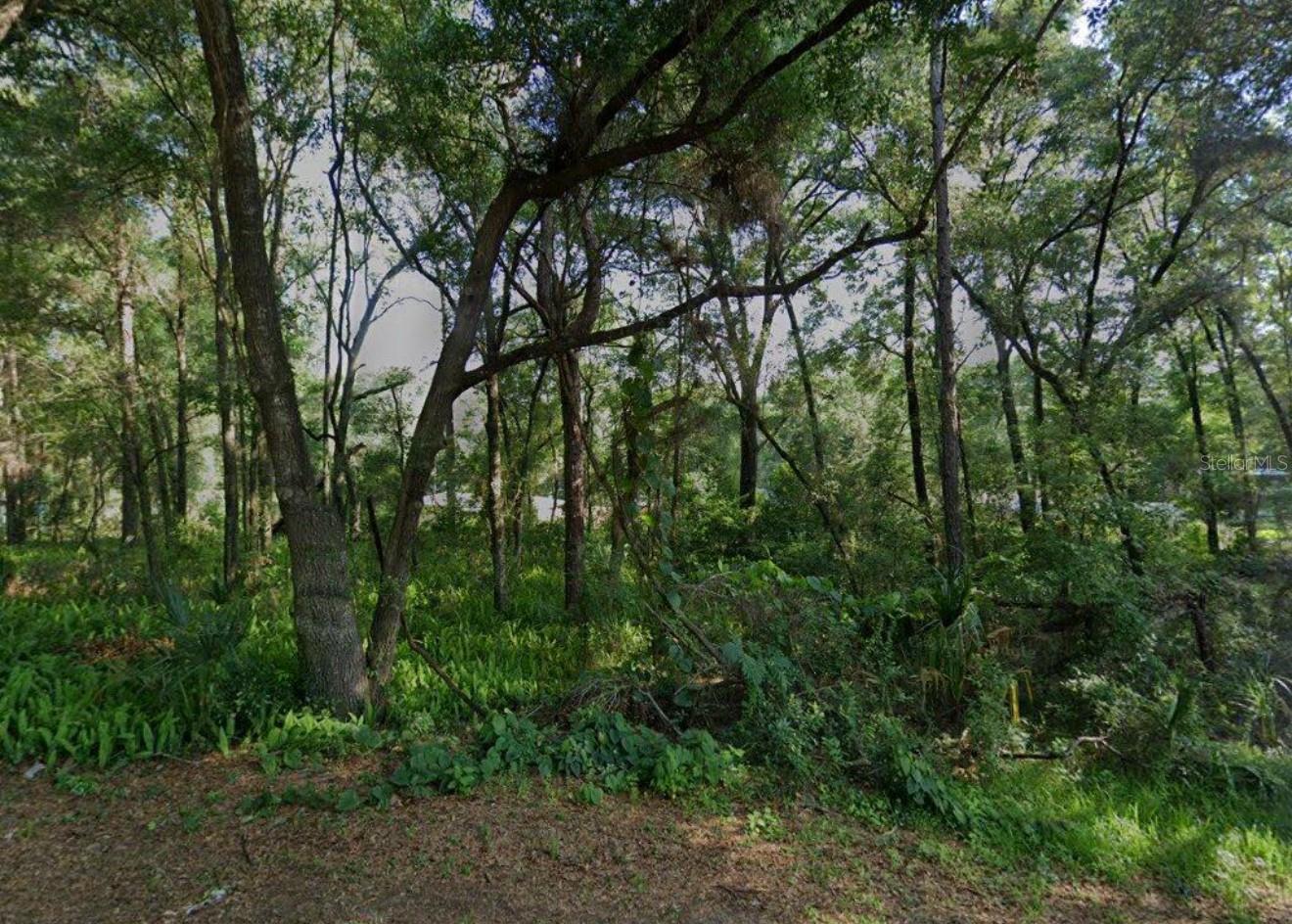 LOCATION! LOCATION LOCATION!!! DONT MISS THIS BUILDABLE PRIVATE INVERNESS LAND!! No HOA, No CDD! THIS BEAUTIFUL LAND IS READY! YOUR DREAM HOME WILL BE PERFECT ON THIS GORGEOUS AND PRIVATE LOT!! CLOSE TO EVERYTHING! ONLY MINUTES TO SHOPPING, GREAT ENTERTAINMENT, AND RESTAURANTS! MUST SEE! GREAT LOCATION! PRICED TO SELL! WHAT ARE YOU WAITING FOR? BUY! BUILD! ENJOY!!Working with Local Builders can advise upon request!