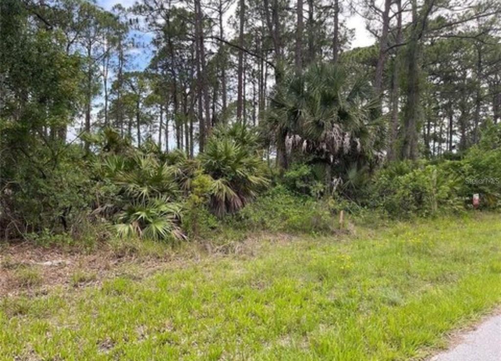 Photo of 3015 Eisenhower Street W, Inverness, FL 34453 (MLS # TB8417454)