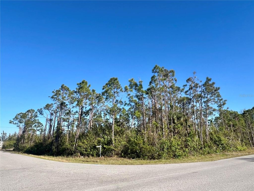 Photo of 15249 Red Head Avenue, Port Charlotte, FL 33981 (MLS # A4645152)