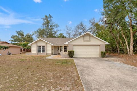 Photo of 12335 Linden Drive, Spring Hill, FL 34608 (MLS # TB8477634)