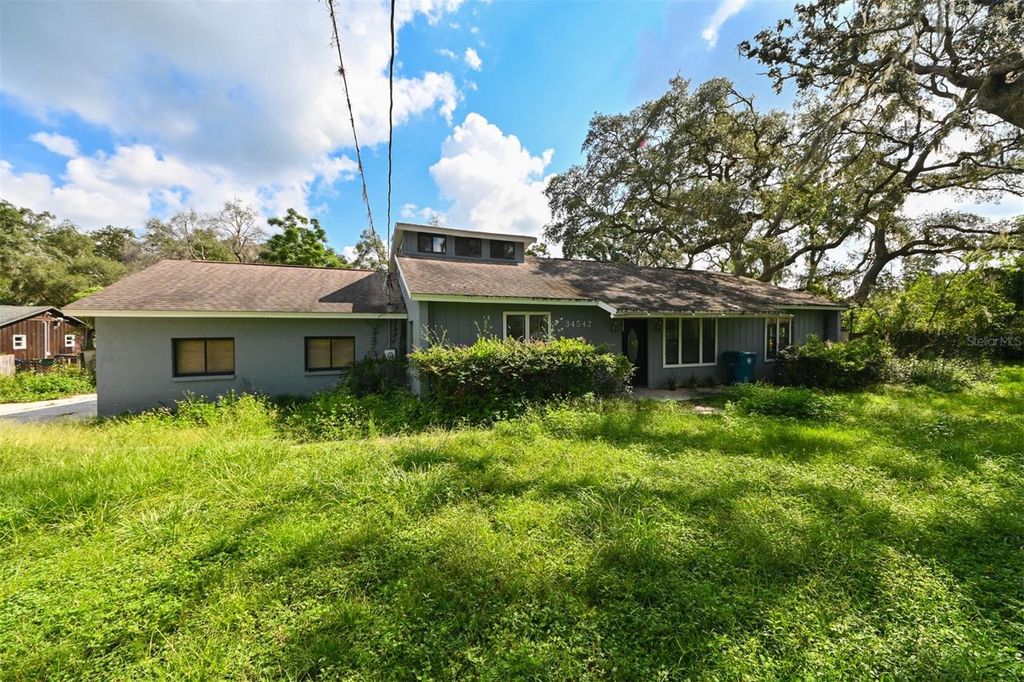 Photo of 34542 Orchid Parkway, Dade City, FL 33523 (MLS # TB8421854)