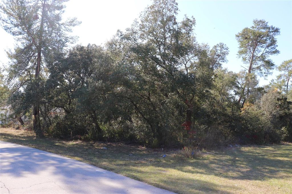 Photo of Tbd Marion Oaks Golf Road, Ocala, FL 34473 (MLS # A4673975)
