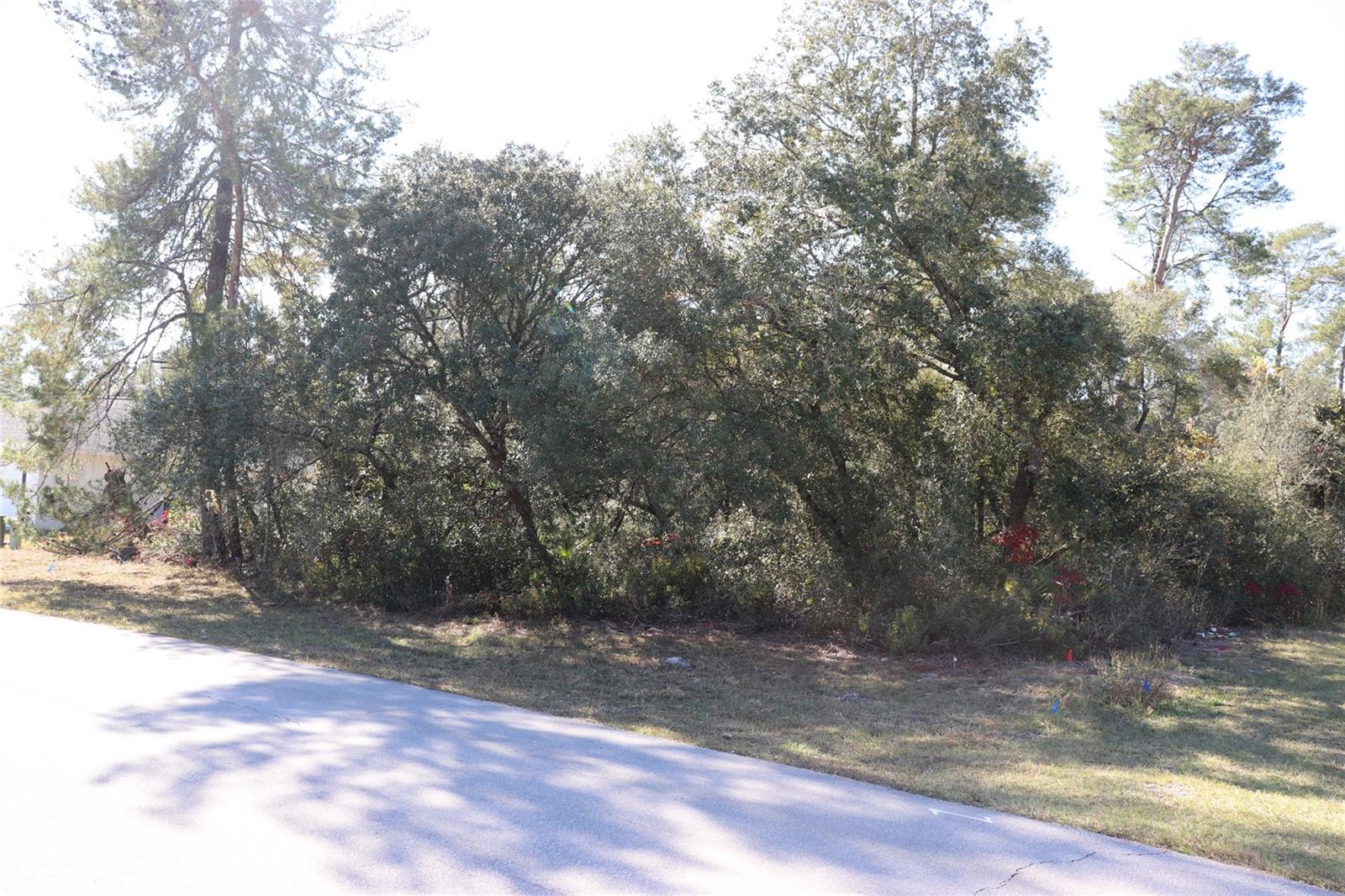 MARION OAKS UN 05 - Land