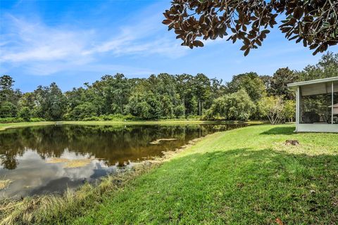 A home in LAND O LAKES