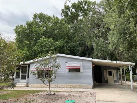 Photo of 309 S Timber Trail, Wildwood, FL 34785 (MLS # G5108335)