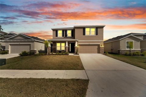 A home in APOLLO BEACH