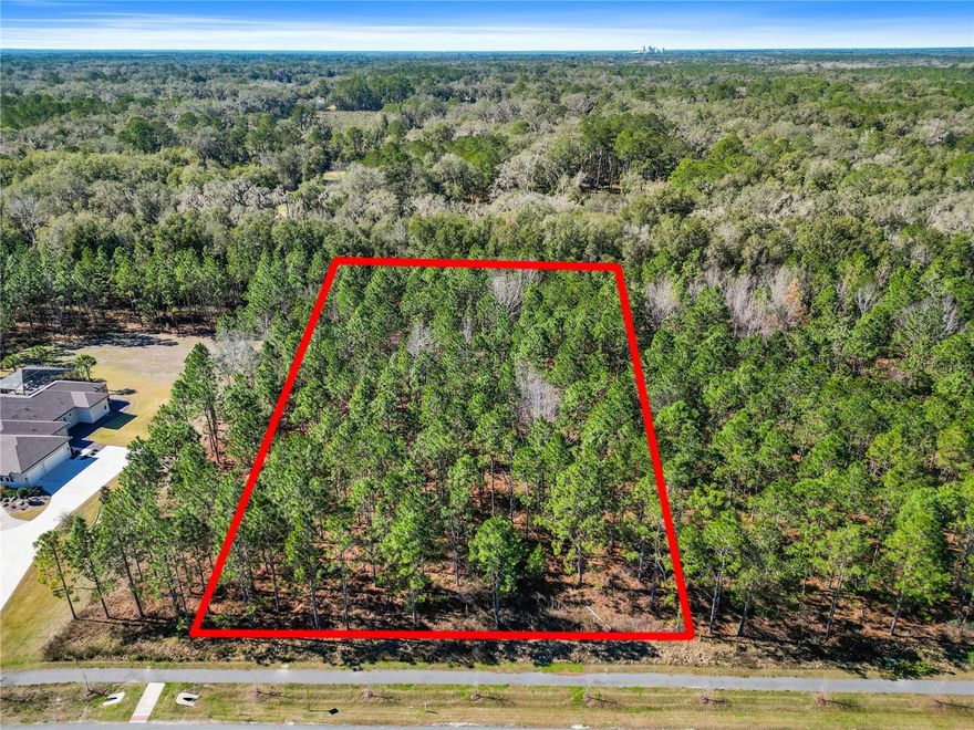 An exceptional opportunity to secure one of the final homesites in the exclusive Kingston community—only five remain. Lot 8 is a 3-acre East facing wooded homesite. Clay Electric, Natural Gas (GRU), AT&T Fiber, Underground Utilities, Well and Septic.

Located in Northwest Gainesville/Jonesville off scenic CR 241 (143rd Street), Kingston is a private enclave of just 24 estate-sized homesites, each spanning approximately 3 acres. Residents enjoy a tranquil, nature-rich setting with winding walking trails beneath mature Southern live oaks, where deer, turkey, and native wildlife are a daily sight.

Despite its peaceful setting, Kingston is just minutes from Publix, Starbucks, Tioga Town Center, shopping, dining, and everyday conveniences. Custom homes in the community range from approximately 3,200 to over 6,000 square feet, offering flexibility to design and build a fully personalized luxury residence with AR Homes.