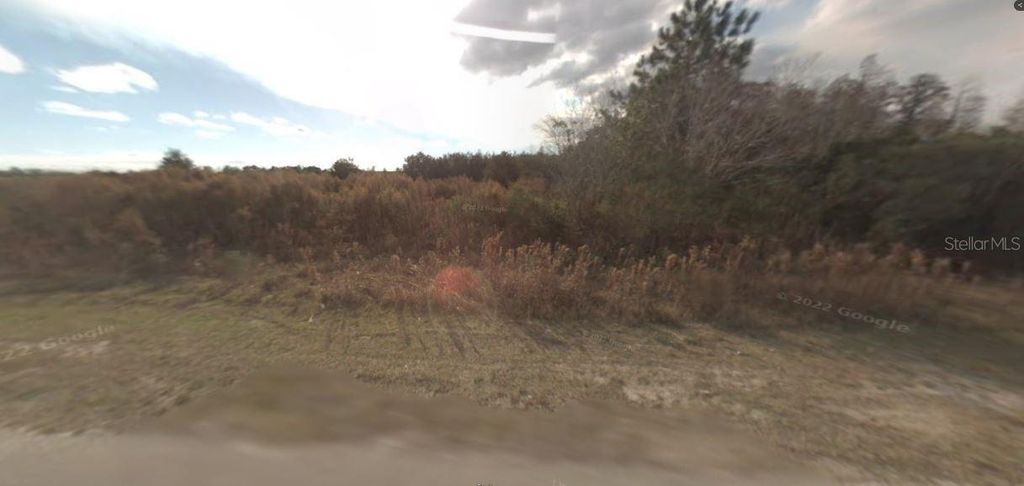 Photo of Backland Path Road, Polk City, FL 33868 (MLS # O6270678)