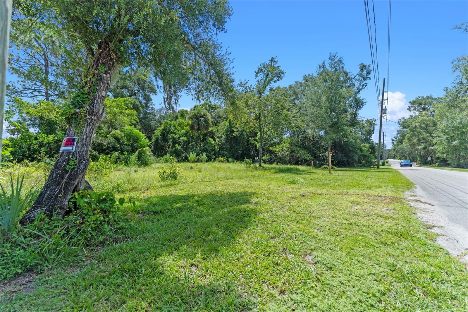 LAKE HELEN - Residential