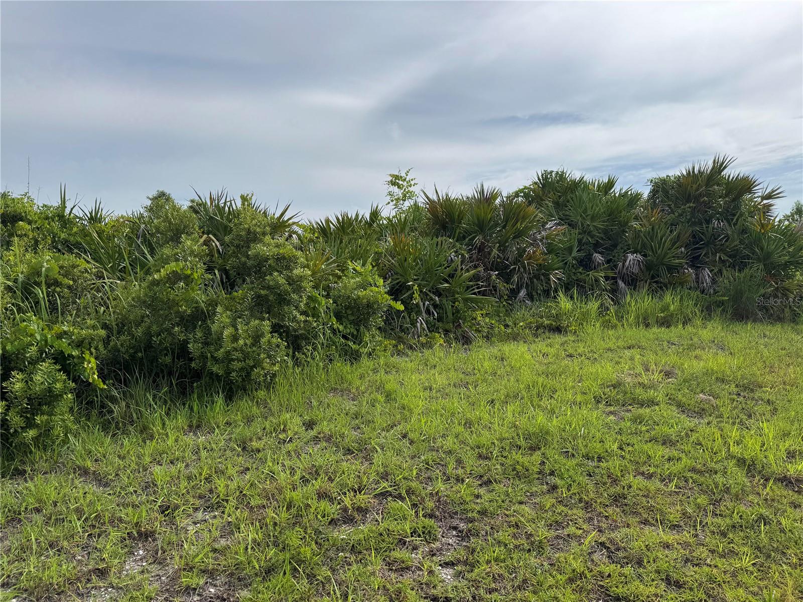 Excellent opportunity to build your dream home on a beautiful lot located on a greenbelt in the rapidly growing deed restricted community of ROTONDA LAKES boasting 5 GOLF COURSES with 99 holes, WALKING and BIKING trails including the 8 mile long Cape Haze Trail! This IDEAL location features city water and sewer and not in a scrub jay zone according to county records. The Rotonda West area features a new Community Center, a beautiful 165 acre park with tennis/pickleball courts, a playground, picnic area, lakes, lush landscaping with an abundance of birds and wildlife and is just a quick drive to our beautiful GULF BEACHES (Englewood, Boca Grande, Venice, Manasota). If you like to FISH or BOAT, we are the capital of WORLD CLASS TARPON fishing and there are dozens of boat ramps, fishing piers and marinas in the surrounding areas for your convenience. Also located within close proximity to local, regional and international airports! New homes are being built nearby so secure your piece of paradise today knowing you can enjoy all that sunny SW Florida has to offer including our breathtaking sunsets!!!! Reputable builder info available. HOA only $135 per year!!