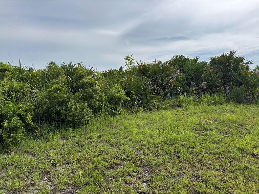 Photo of 136 Hercules Drive, Rotonda West, FL 33947 (MLS # D6143141)