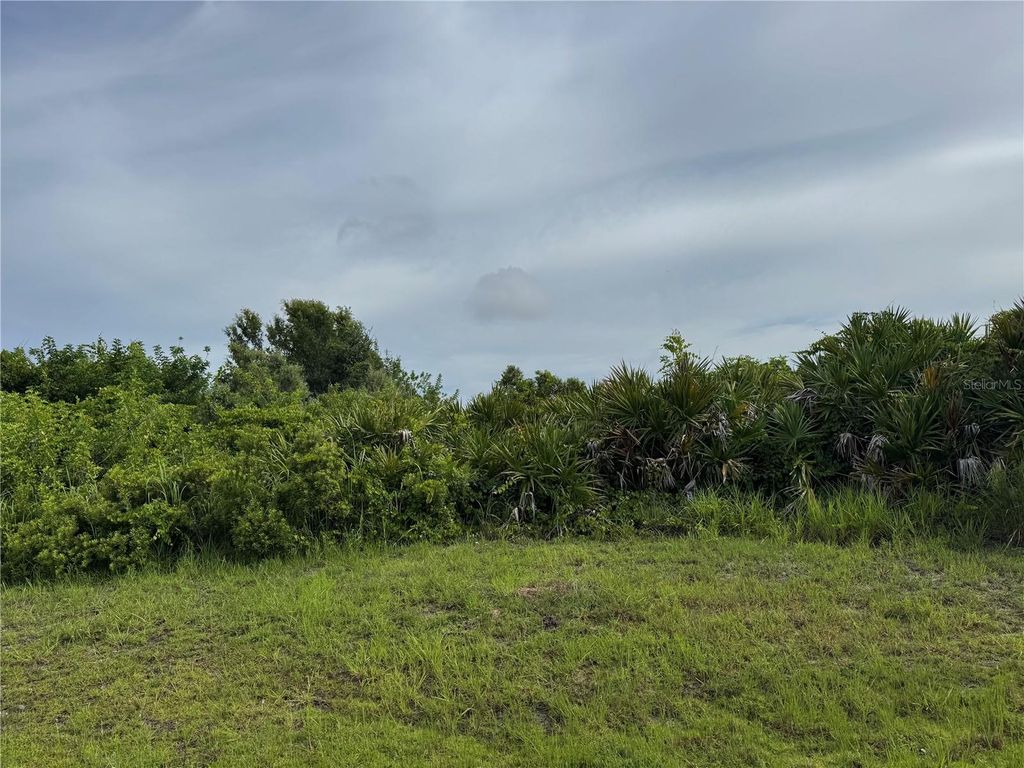 Photo of 136 Hercules Drive, Rotonda West, FL 33947 (MLS # D6143141)