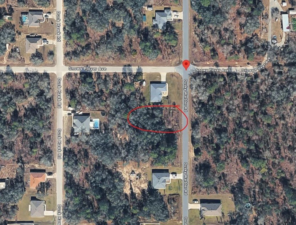 Photo of 15057 Dusky Warbler Road, Weeki Wachee, FL 34614 (MLS # TB8494088)