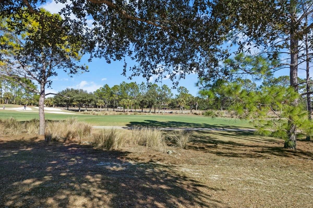 CANDLER HILLS - Residential