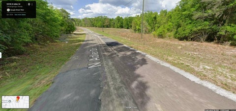 Photo of 10735 N Adler Drive, Citrus Springs, FL 34434 (MLS # OM734545)