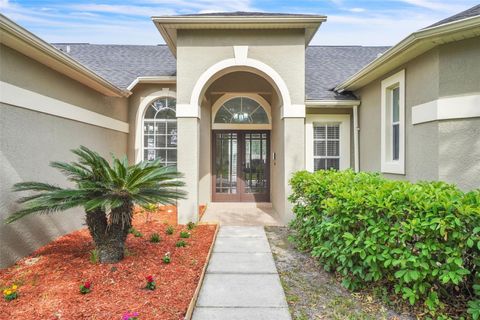 339 HAMMOCK DUNES PLACE ORLANDO FL 32828