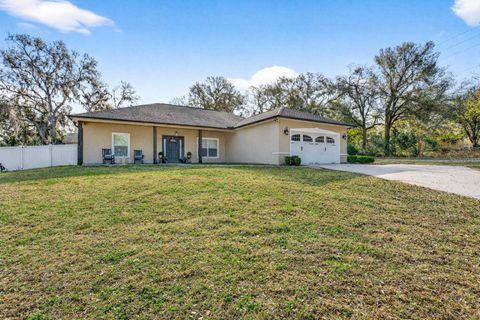 Photo of 12222 Joavajin Road, Dade City, FL 33525 (MLS # TB8479266)