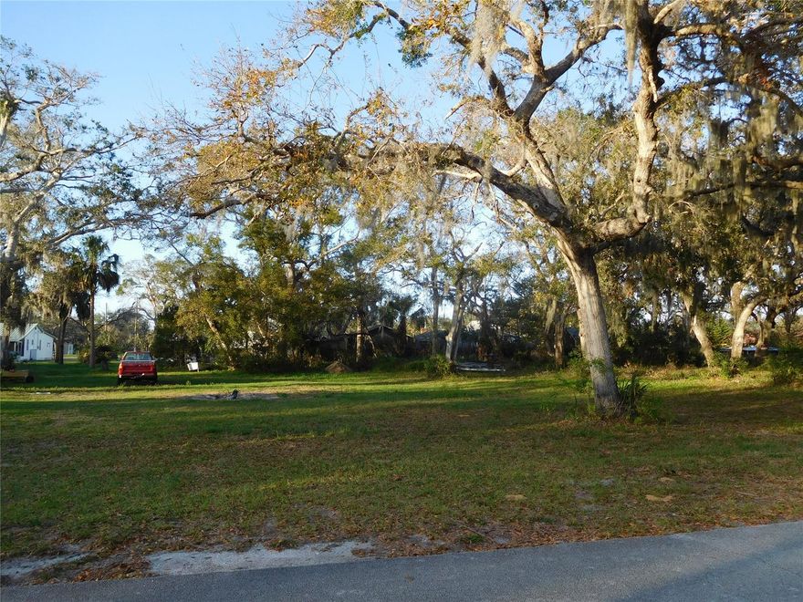 Excellent residential lot in the heart of Oak Hill. Build your dream home or winter getaway here, just a couple of blocks from the famous fishing waters of Mosquito Lagoon. This lot is mostly cleared with a few select mature trees remaining. You can almost see that shady porch swing as you enjoy the gentle breezes off the river. Close to all this friendly community has to offer - the library, post office, convenience store and the A rated K-8 Burns Sci Tech Charter School. Don't wait - come take a look today!; Cleared: Partial