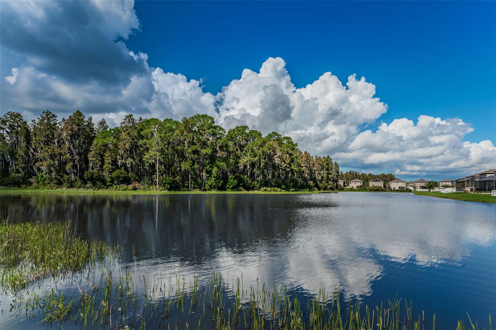 TRINITY PRESERVE PH 2A & 2B - Residential