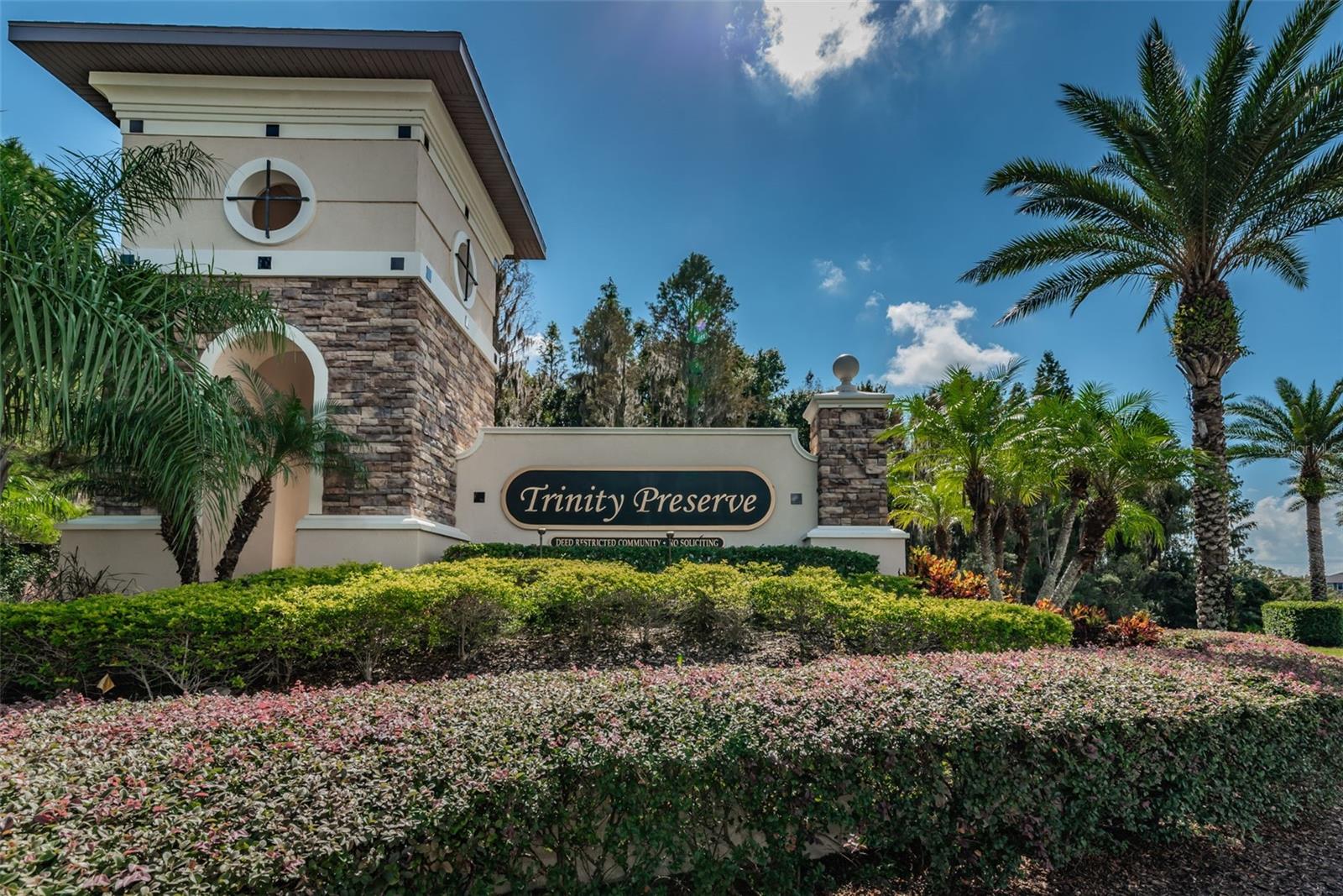 TRINITY PRESERVE PH 2A & 2B - Residential