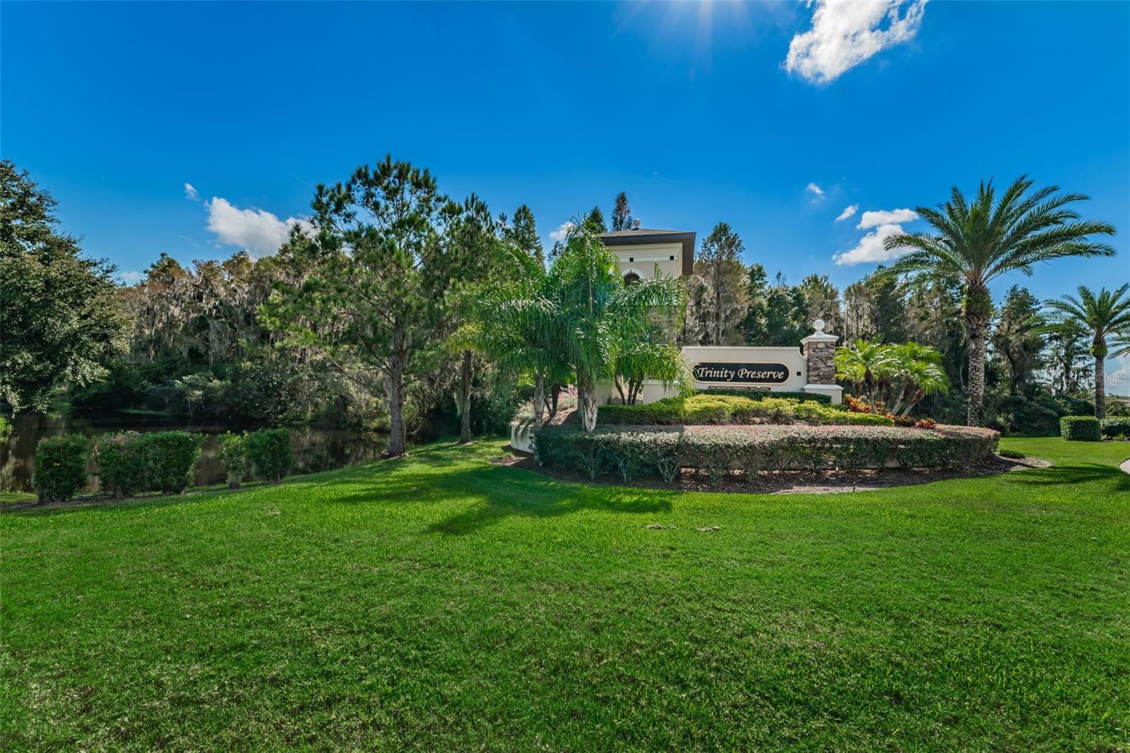 TRINITY PRESERVE PH 2A & 2B - Residential