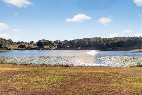 Photo of 29714 SE Highway 42, Umatilla, FL 32784 (MLS # G5107771)