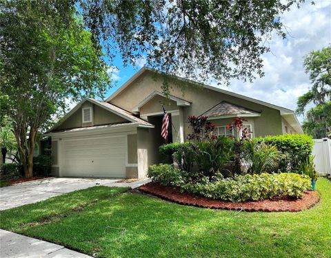 Photo of 809 Straw Lake Drive, Brandon, FL 33510 (MLS # O6397134)