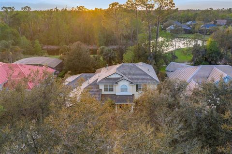 Photo of 3352 Park Grove Court, Longwood, FL 32779 (MLS # O6390087)