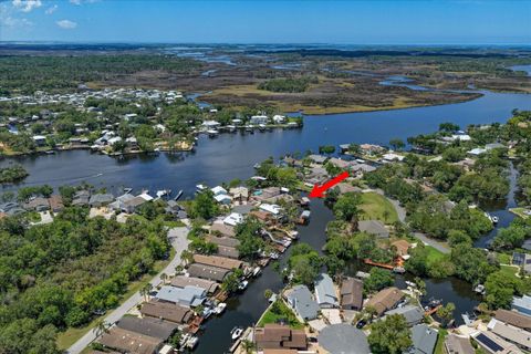 Tiny photo for 11579 W Rosa Court, Homosassa, FL 34448 (MLS # TB8510772)