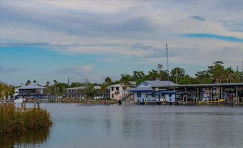Tiny photo for 11579 W Rosa Court, Homosassa, FL 34448 (MLS # TB8510772)