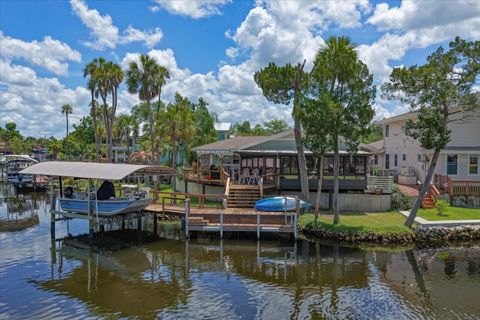 Tiny photo for 11579 W Rosa Court, Homosassa, FL 34448 (MLS # TB8510772)