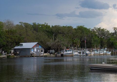 Tiny photo for 11579 W Rosa Court, Homosassa, FL 34448 (MLS # TB8510772)