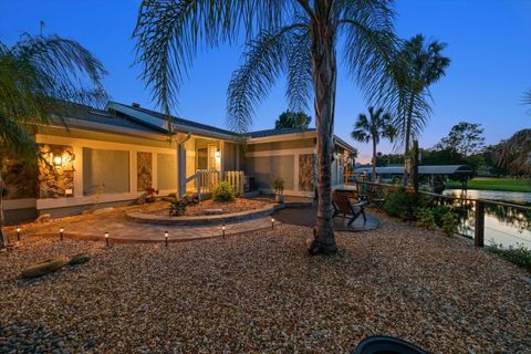 Tiny photo for 11579 W Rosa Court, Homosassa, FL 34448 (MLS # TB8510772)