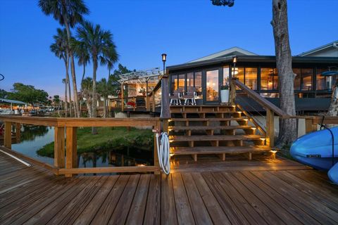 Tiny photo for 11579 W Rosa Court, Homosassa, FL 34448 (MLS # TB8510772)