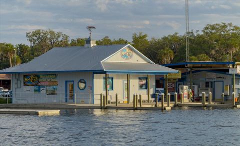Tiny photo for 11579 W Rosa Court, Homosassa, FL 34448 (MLS # TB8510772)