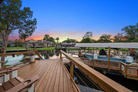 Tiny photo for 11579 W Rosa Court, Homosassa, FL 34448 (MLS # TB8510772)
