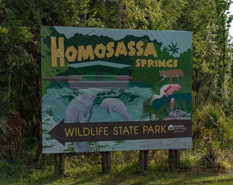 Tiny photo for 11579 W Rosa Court, Homosassa, FL 34448 (MLS # TB8510772)