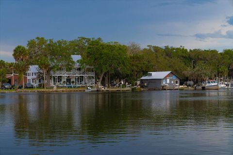 Tiny photo for 11579 W Rosa Court, Homosassa, FL 34448 (MLS # TB8510772)