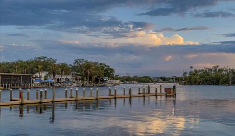 Tiny photo for 11579 W Rosa Court, Homosassa, FL 34448 (MLS # TB8510772)
