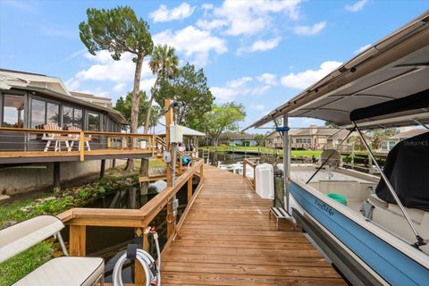 Tiny photo for 11579 W Rosa Court, Homosassa, FL 34448 (MLS # TB8510772)