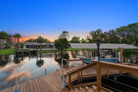 Tiny photo for 11579 W Rosa Court, Homosassa, FL 34448 (MLS # TB8510772)