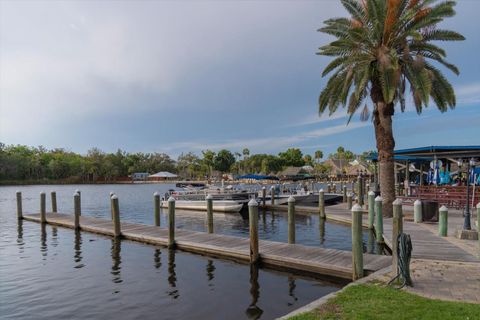 Tiny photo for 11579 W Rosa Court, Homosassa, FL 34448 (MLS # TB8510772)