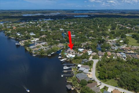Tiny photo for 11579 W Rosa Court, Homosassa, FL 34448 (MLS # TB8510772)