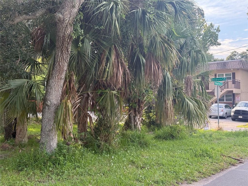 Photo of 201 Hepburn Street, Daytona Beach, FL 32114 (MLS # V4944485)