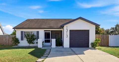 1313 COOLMONT DRIVE BRANDON FL 33511