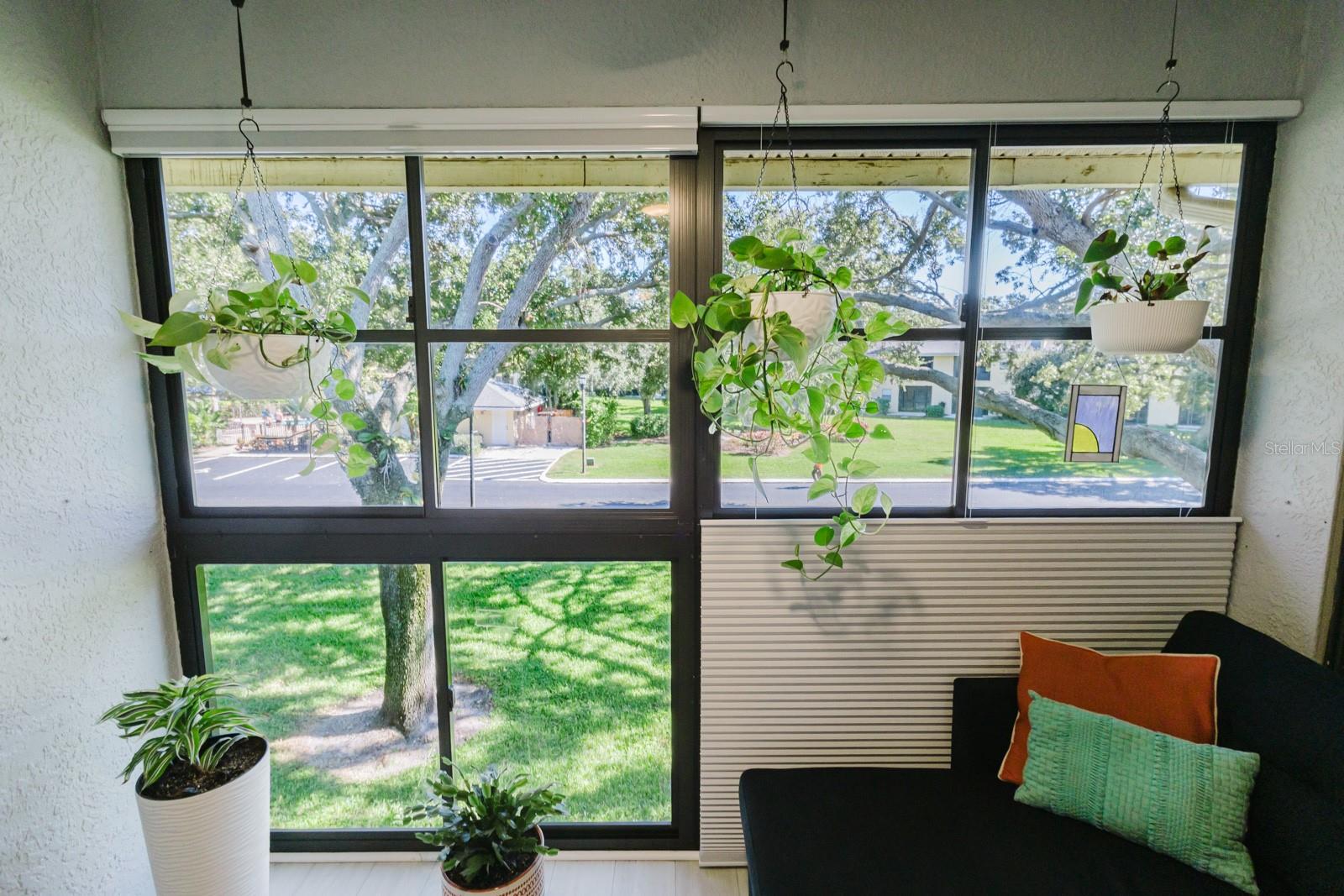 ARBOR GROVE CONDO - Residential