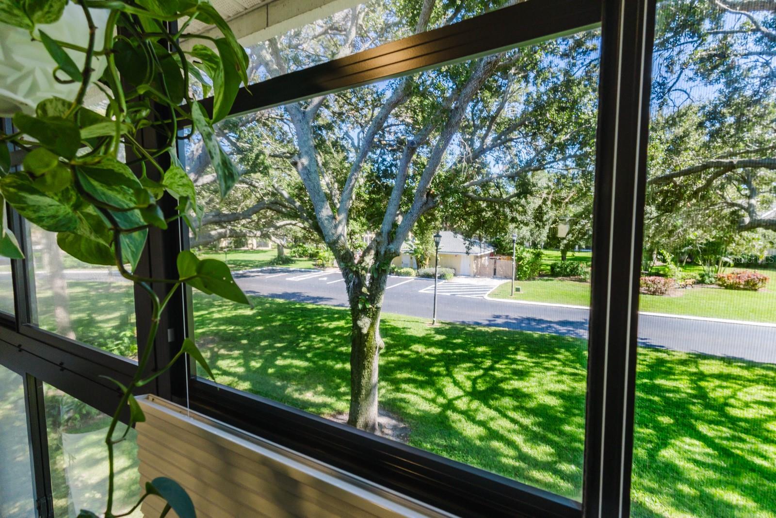 ARBOR GROVE CONDO - Residential