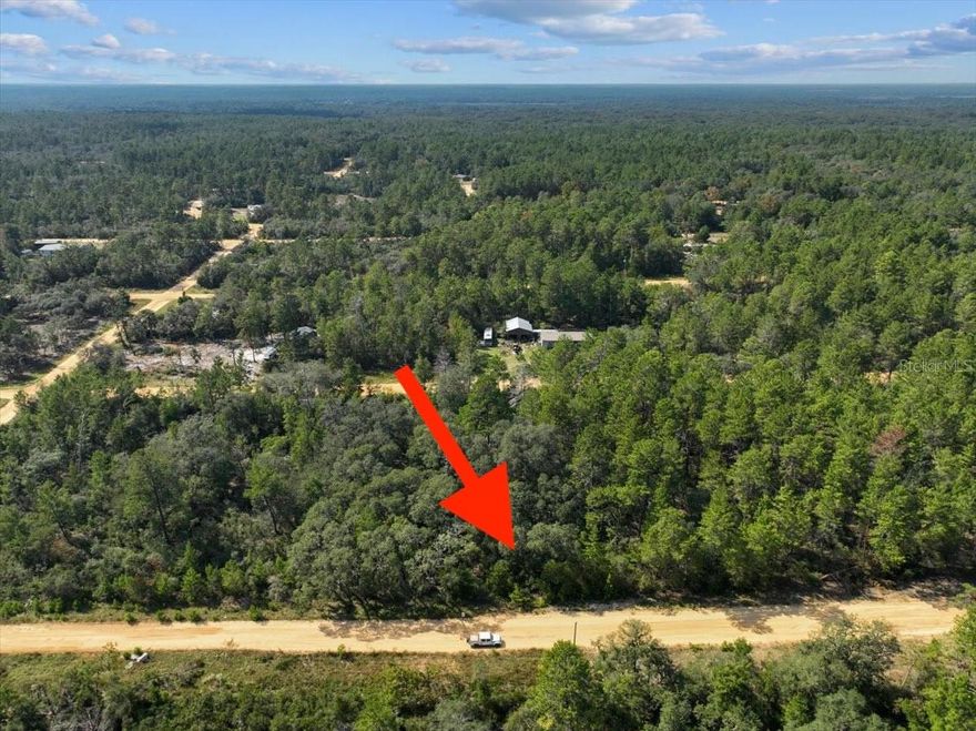 SELLER FINANCING AVAILABLE! This 0.22 acre lot is zoned vacant residential and can be used for traditional home, mobile home, modular home, tiny home, barndominium, container home among other uses. No RVs or campers allowed. There is access to electricity. Call electric utility company for details. You will need to install septic and well for water.

Surrounded by lakes, this lot is ideal for fishing and boating in Interlachen. City of Interlachen is surrounded by lakes which makes this location ideal for the outdoorsman/outdoorswoman that loves to fish and be outdoors.

Nearby cities: Palatka – 18 Miles, Gainesville – 27 Miles, Ocala – 40 Miles, Jacksonville – 69 Miles